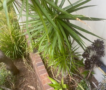 Lalor Park - Photo 2