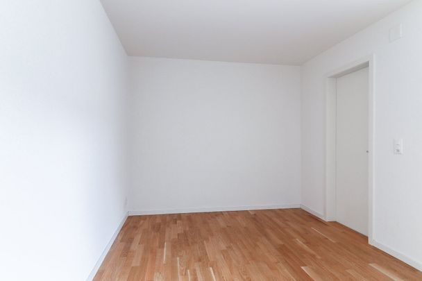 Small but mighty! - Photo 1