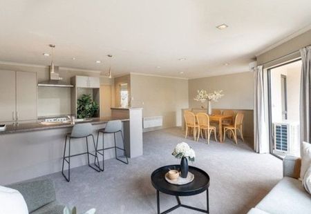 Spacious 3-BR Hamilton Apartment with DBL garage - Photo 5