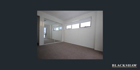 6/170 Flemington Road, Harrison ACT 2914 - Apartment For Rent | Domain - Photo 3