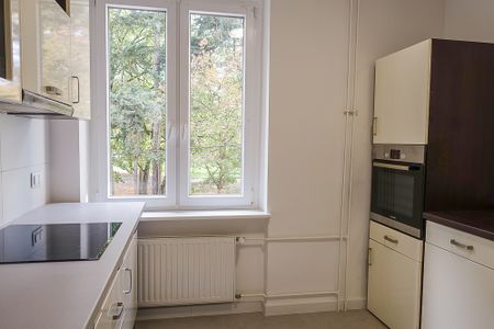 MIESZKANIE na WYNAJEM – zdjęcie 5