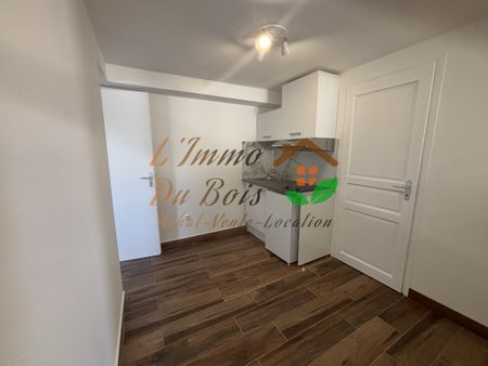 Location Appartement 3 pièces 49m² CHANAS 38150 - Photo 2