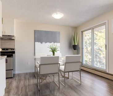 Renovated Suite - 1 Bedroom - Photo 1