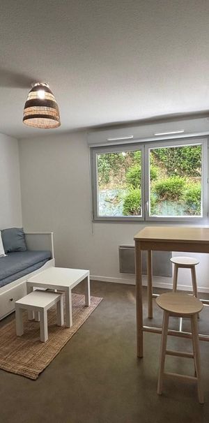 Location Appartement 1 pièce 20m² CALUIRE ET CUIRE 69300 - Photo 1