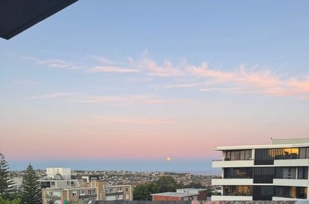 Bondi - Photo 4