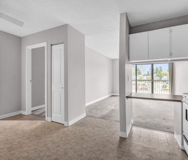 Surrey Gardens - Photo 2