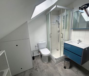 Location Appartement 1 pièce 25m² REIMS 51100 - Photo 5