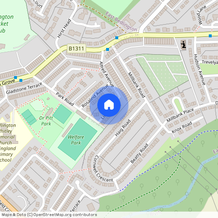 Lily Avenue, Bedlington