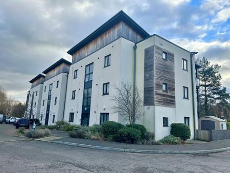 2 bedroom apartment to rent - Photo 2