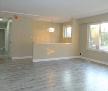 327 Laurentian Cres, Coquitlam (Main Level) - Photo 3