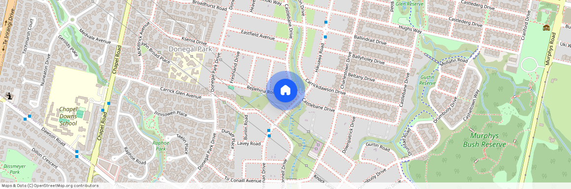 4 Repehina Road, Flat Bush, Manukau City