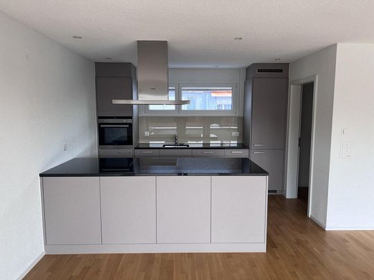 Traumwohnung mit riesiger Dachterrasse mit Abendsonne - Photo 1