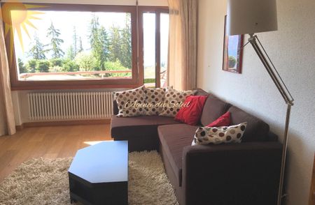 Year-round rental (from April 1st): Very nice 2.5-room apartment with a magnificent view of the Valais Alps - Foto 2