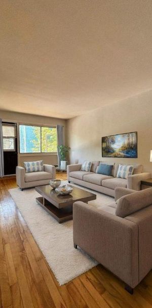 1 CH - 1 SDB - Montréal - $1,250 /mo - Photo 1