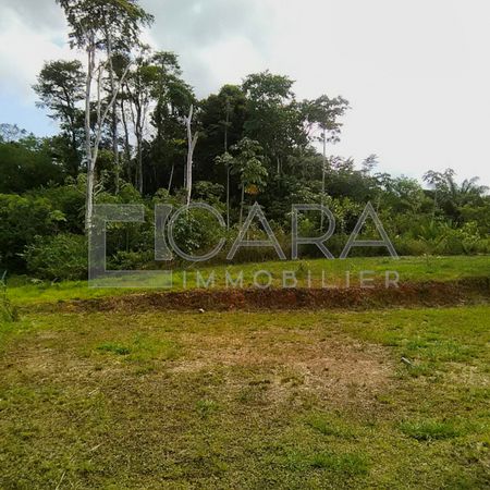 Location Maison 3 pièces 73m² MATOURY 97351 - Photo 3