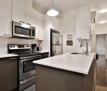 Appartement à louer - Montréal (Le Plateau-Mont-Royal) (Le Plateau-... - Photo 3