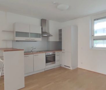 Garten-Ruhe Oase nahe KUK - Foto 4