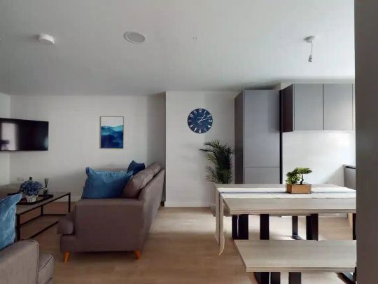 Large Studio - Photo 1