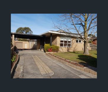 Spacious Family Home in Prime Brentwood School Zone - Photo 4