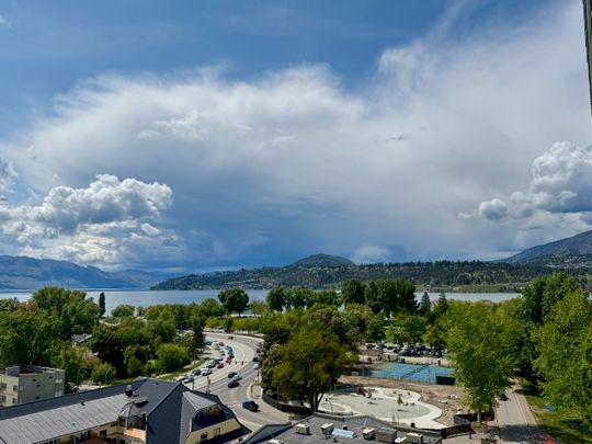 Brand New 1 Bdrm facing South w/ Lakeview at Water St by the Park - Photo 1