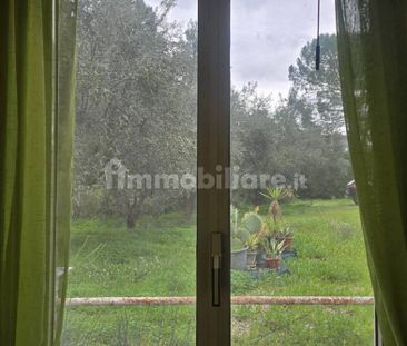 Monolocale Contrada Fontanelle, Caltanissetta - Photo 6