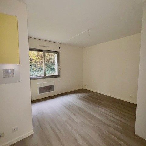 Location Appartement 1 pièce 18m² NANCY 54000 - Photo 1