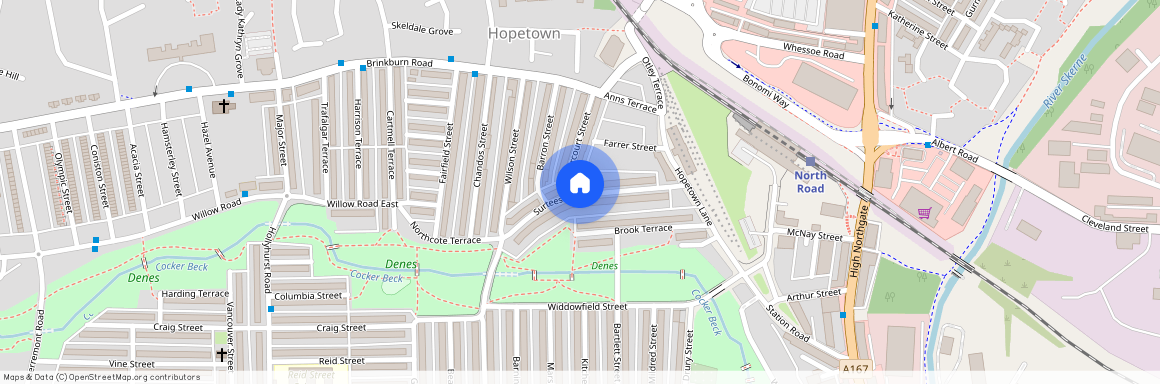 Surtees Street, Darlington, DL3