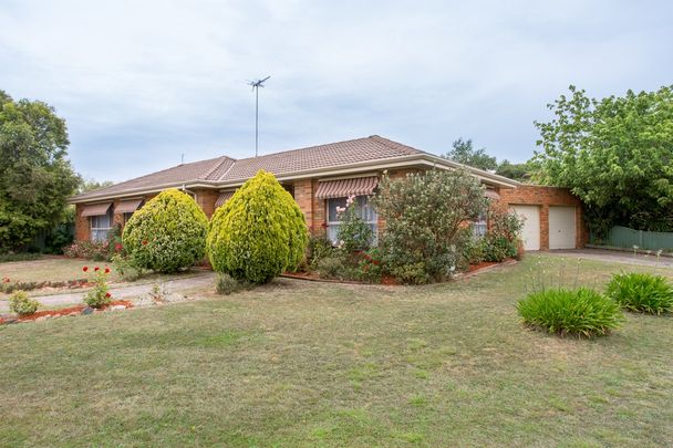 FOUR BEDROOM HOME IN PRIME LOCATION ALFREDTON - Photo 1