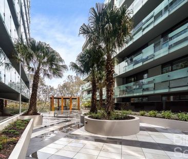 213/20 Shamrock Street, Abbotsford VIC 3067 - Apartment For Rent | ... - Photo 2