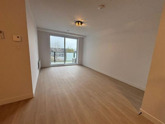 430 Boul. du Bord de l'Eau - Photo 1