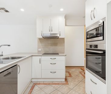 66A Jervois Street, Torrensville SA 5031 - House For Rent | Domain - Photo 6