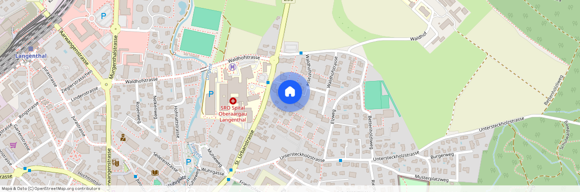 Waldhofstrasse 30, 4900 Langenthal