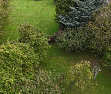 3 bedroom property to rent - Photo 6