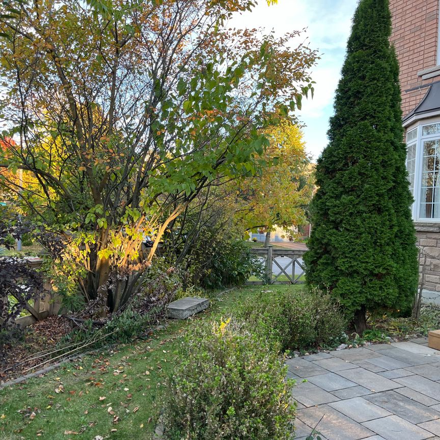 For Lease - 249 Kennedy Street, Aurora, Ontario - Photo 1