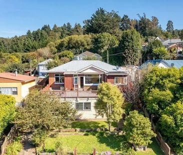 20 Manchester Street, Bradford, Dunedin - Photo 1