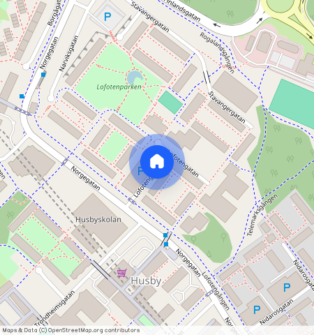 Lofotengatan, Kista