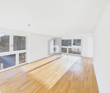 MODERN AND LIGHT-FLOODED - Photo 2