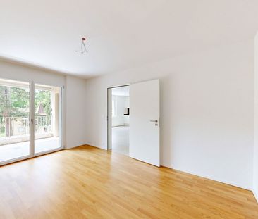 2.5 Zimmer, 50 m², 1. Stock - Photo 2