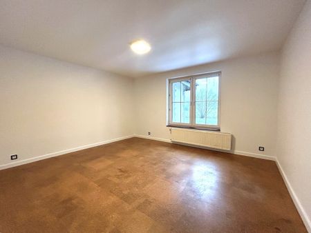 (Symbol 437309) DOM na WYNAJEMWarzymice, Parterowy * po remoncie * kameralne miejsce - Photo 4