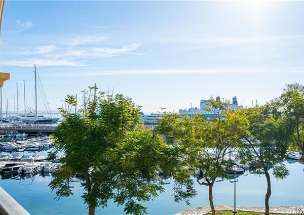 Palma de Mallorca, Balearic Islands 07014