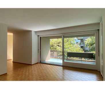 Lugano Loreto - Appartamento nel parco - Foto 2