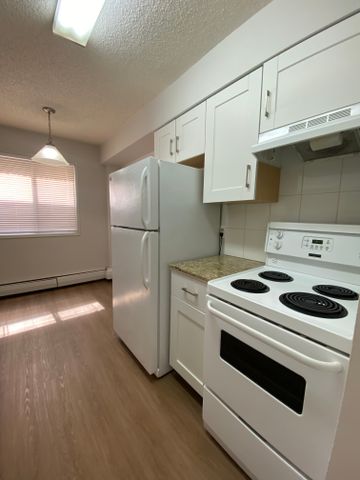 Spacious One Bedroom Apartment in Beautiful Sunnyside - Photo 4