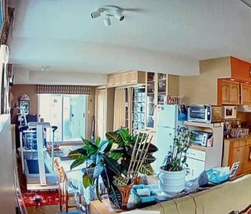 2 Rooms for Rent - Large $750 Small $725 — 2 Bedrooms Room For Rent - Photo 1