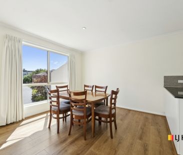Delightful 2 Bedroom Apartment Filled with Natural Light - Photo 3