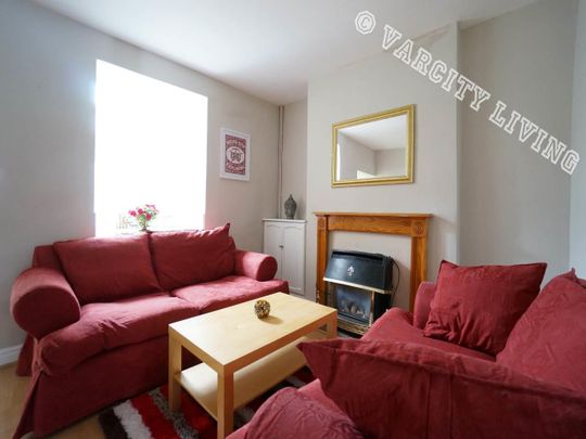 314 Caernarfon Road - Photo 1