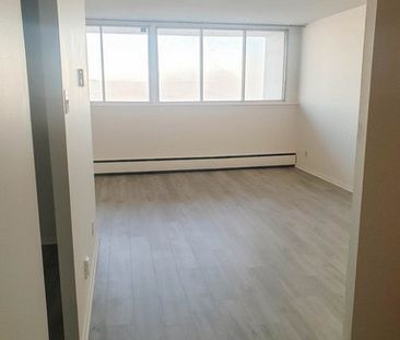 1 Bedroom - Photo 3