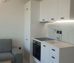 Studio/Γκαρσονιέρα για ενοικίαση - Φάληρο - Ιπποκράτειο, - Φωτογραφία 3
