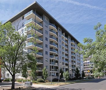 116/77 Northbourne Avenue, Turner ACT 2612 - Apartment For Rent | D... - Photo 5