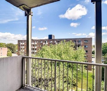 Studio - Gatineau - $1,295 /mo - Photo 2