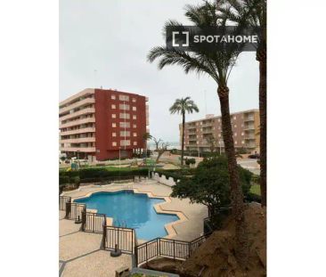Sueca - Photo 4